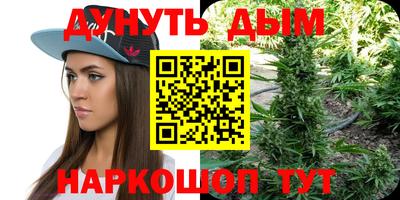 прущие грибы Краснодар