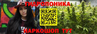 прущие грибы Краснодар