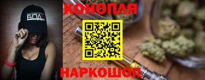 прущие грибы Краснодар