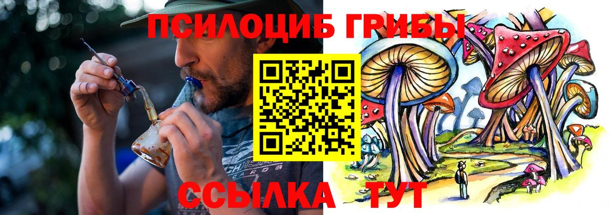 Галлюциногенные грибы GOLDEN TEACHER  Вход с VPN  Камышлов 